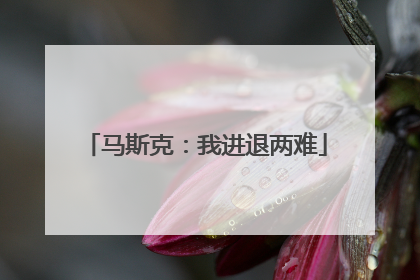 马斯克：我进退两难