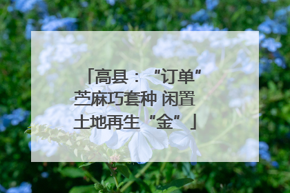 高县：“订单”苎麻巧套种 闲置土地再生“金”