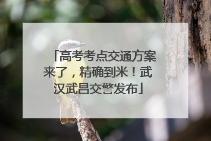 高考考点交通方案来了，精确到米！武汉武昌交警发布