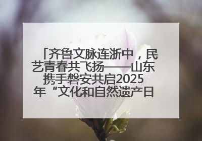 齐鲁文脉连浙中，民艺青春共飞扬——山东携手磐安共启2025年“文化和自然遗产日”系列活动
