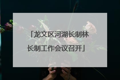 龙文区河湖长制林长制工作会议召开