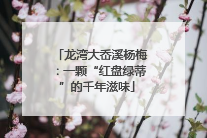 龙湾大岙溪杨梅：一颗“红盘绿蒂”的千年滋味