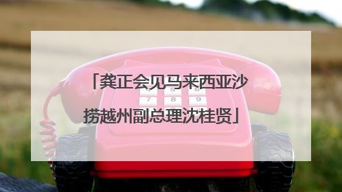 龚正会见马来西亚沙捞越州副总理沈桂贤