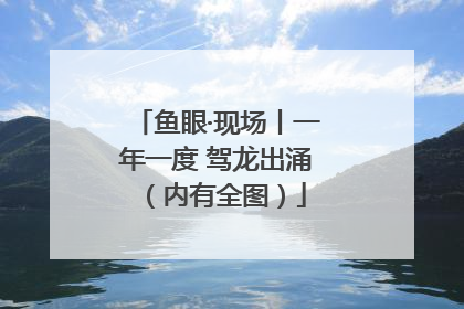 鱼眼·现场丨一年一度 驾龙出涌（内有全图）