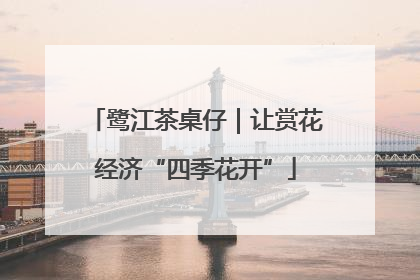 鹭江茶桌仔｜让赏花经济“四季花开”