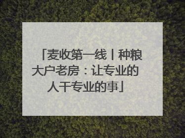麦收第一线丨种粮大户老房：让专业的人干专业的事