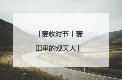 麦收时节丨麦田里的观天人