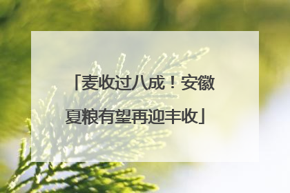 麦收过八成！安徽夏粮有望再迎丰收