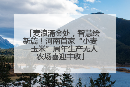 麦浪涌金处，智慧绘新篇！河南首家“小麦—玉米”周年生产无人农场喜迎丰收