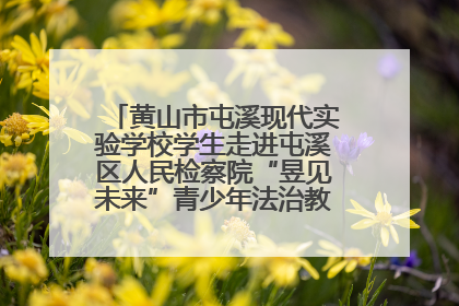 黄山市屯溪现代实验学校学生走进屯溪区人民检察院“昱见未来”青少年法治教育宣传基地