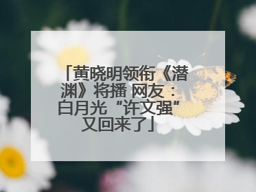 黄晓明领衔《潜渊》将播 网友：白月光“许文强”又回来了