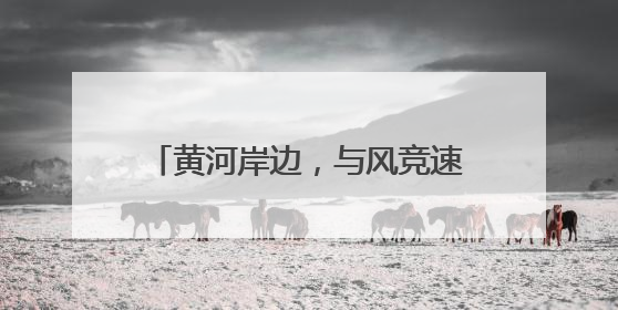 黄河岸边，与风竞速｜黄河口（东营）国际公路自行车赛举行