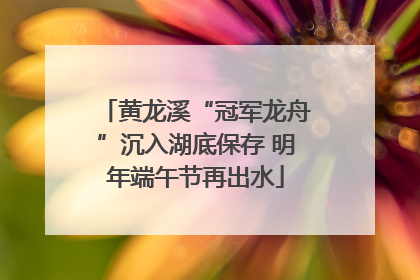黄龙溪“冠军龙舟”沉入湖底保存 明年端午节再出水