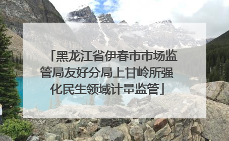 黑龙江省伊春市市场监管局友好分局上甘岭所强化民生领域计量监管