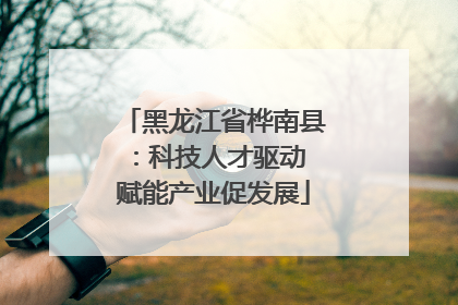 黑龙江省桦南县：科技人才驱动 赋能产业促发展