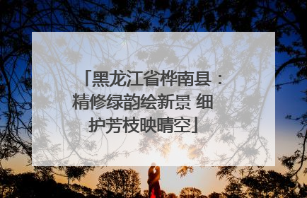 黑龙江省桦南县：精修绿韵绘新景 细护芳枝映晴空