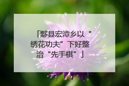 黟县宏潭乡以“绣花功夫”下好整治“先手棋”