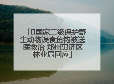 ﻿国家二级保护野生动物误食鱼钩被送医救治 郑州惠济区林业局回应
