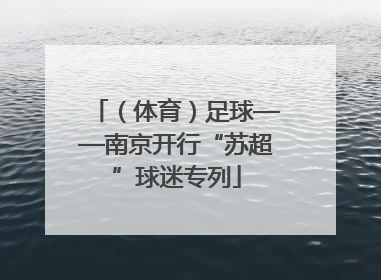 （体育）足球——南京开行“苏超”球迷专列