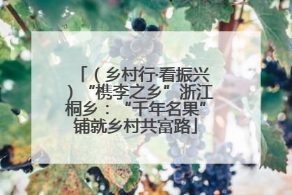 （乡村行·看振兴）“槜李之乡”浙江桐乡：“千年名果”铺就乡村共富路