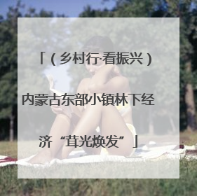 （乡村行·看振兴）内蒙古东部小镇林下经济“茸光焕发”