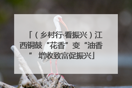 （乡村行·看振兴）江西铜鼓“花香”变“油香” 增收致富促振兴