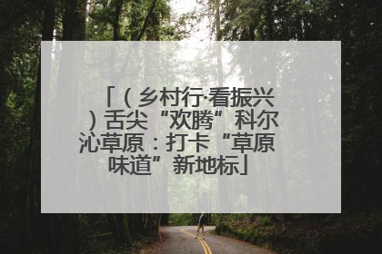 （乡村行·看振兴）舌尖“欢腾”科尔沁草原：打卡“草原味道”新地标