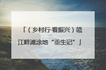 （乡村行·看振兴）赣江畔滩涂地“重生记”