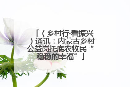 （乡村行·看振兴）通讯：内蒙古乡村公益岗托底农牧民“稳稳的幸福”