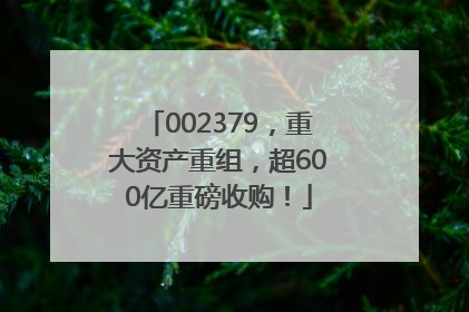 002379，重大资产重组，超600亿重磅收购！