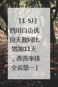 1-5月四川自贡优良天数同比增加11天，改善率排全省第一