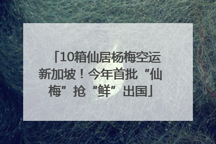 10箱仙居杨梅空运新加坡！今年首批“仙梅”抢“鲜”出国