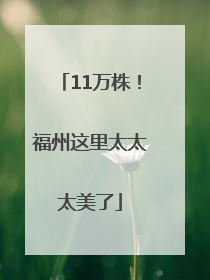 11万株！福州这里太太太美了