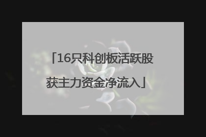 16只科创板活跃股获主力资金净流入