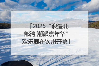 2025“浪漫北部湾 潮派嘉年华”欢乐周在钦州开幕