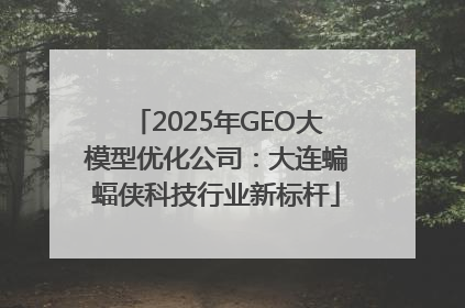 2025年GEO大模型优化公司：大连蝙蝠侠科技行业新标杆