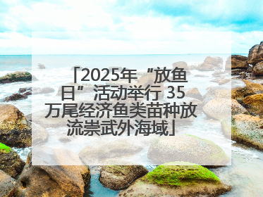 2025年“放鱼日”活动举行 35万尾经济鱼类苗种放流崇武外海域