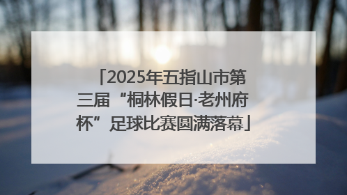 2025年五指山市第三届“桐林假日·老州府杯”足球比赛圆满落幕