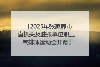 2025年张家界市直机关及驻张单位职工气排球运动会开幕