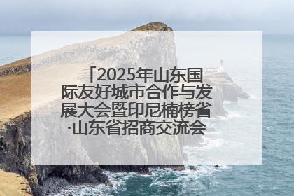 2025年山东国际友好城市合作与发展大会暨印尼楠榜省·山东省招商交流会在济南槐荫举行