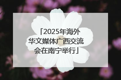 2025年海外华文媒体广西交流会在南宁举行