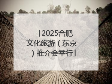 2025合肥文化旅游（东京）推介会举行