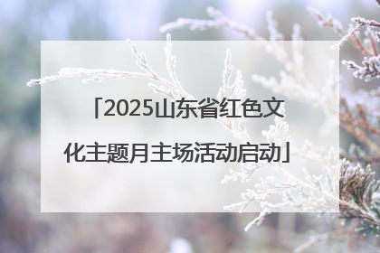 2025山东省红色文化主题月主场活动启动