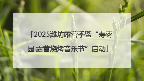 2025潍坊露营季暨“寿枣园·露营烧烤音乐节”启动