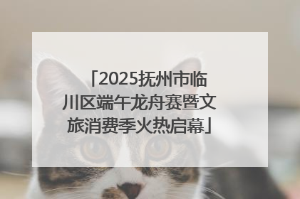 2025抚州市临川区端午龙舟赛暨文旅消费季火热启幕