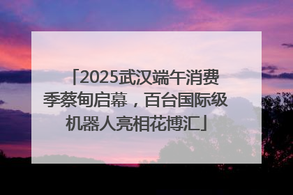 2025武汉端午消费季蔡甸启幕，百台国际级机器人亮相花博汇