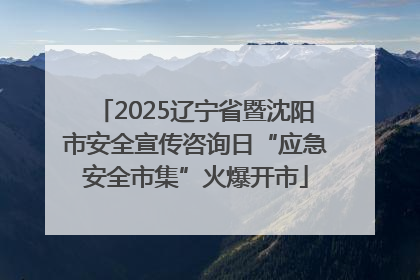 2025辽宁省暨沈阳市安全宣传咨询日“应急安全市集”火爆开市