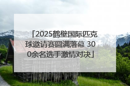 2025鹤壁国际匹克球邀请赛圆满落幕 300余名选手激情对决