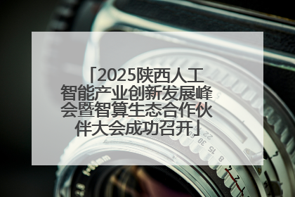 2025陕西人工智能产业创新发展峰会暨智算生态合作伙伴大会成功召开
