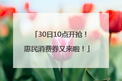 30日10点开抢！惠民消费券又来啦！